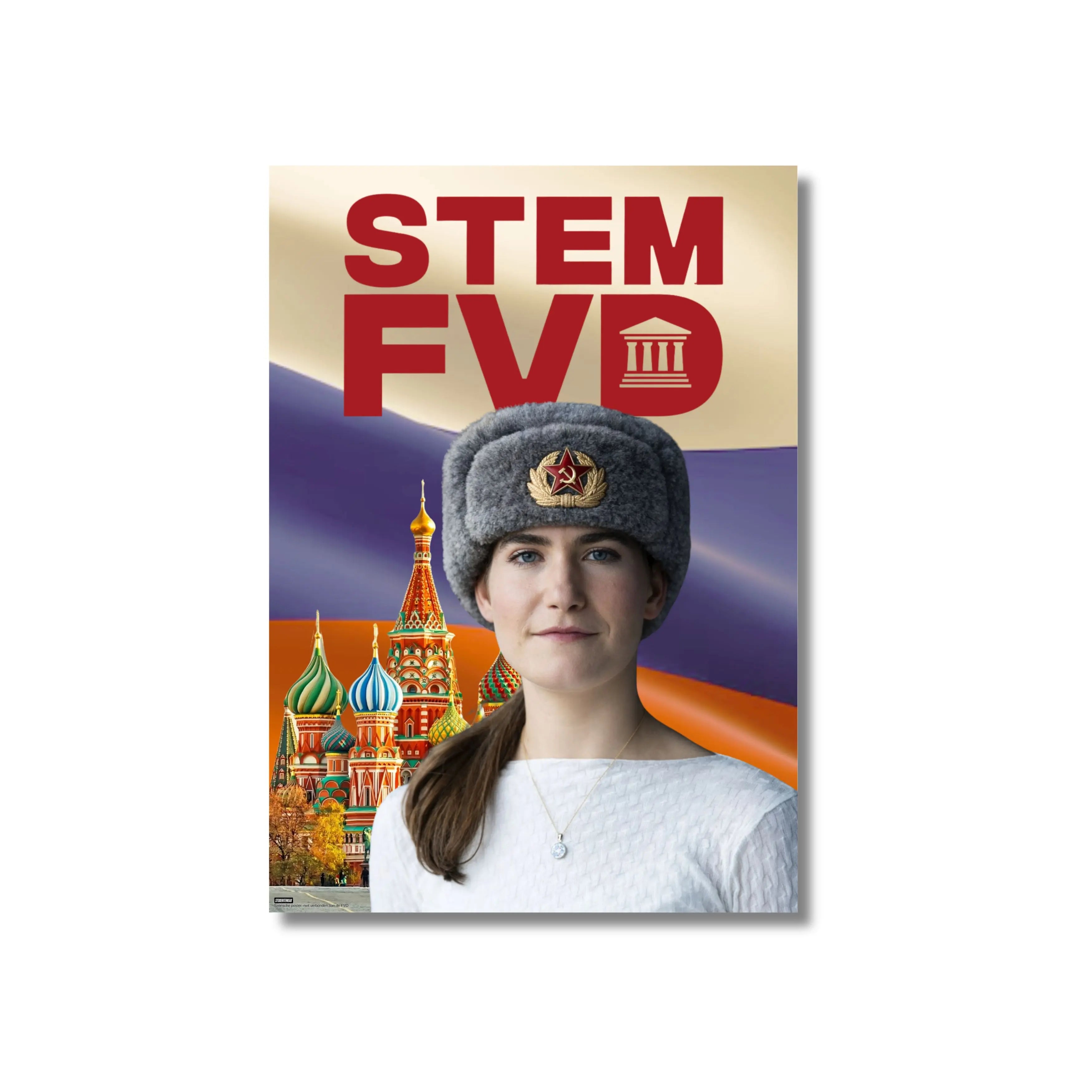 Verkiezingsposter bundel (6 stuks)