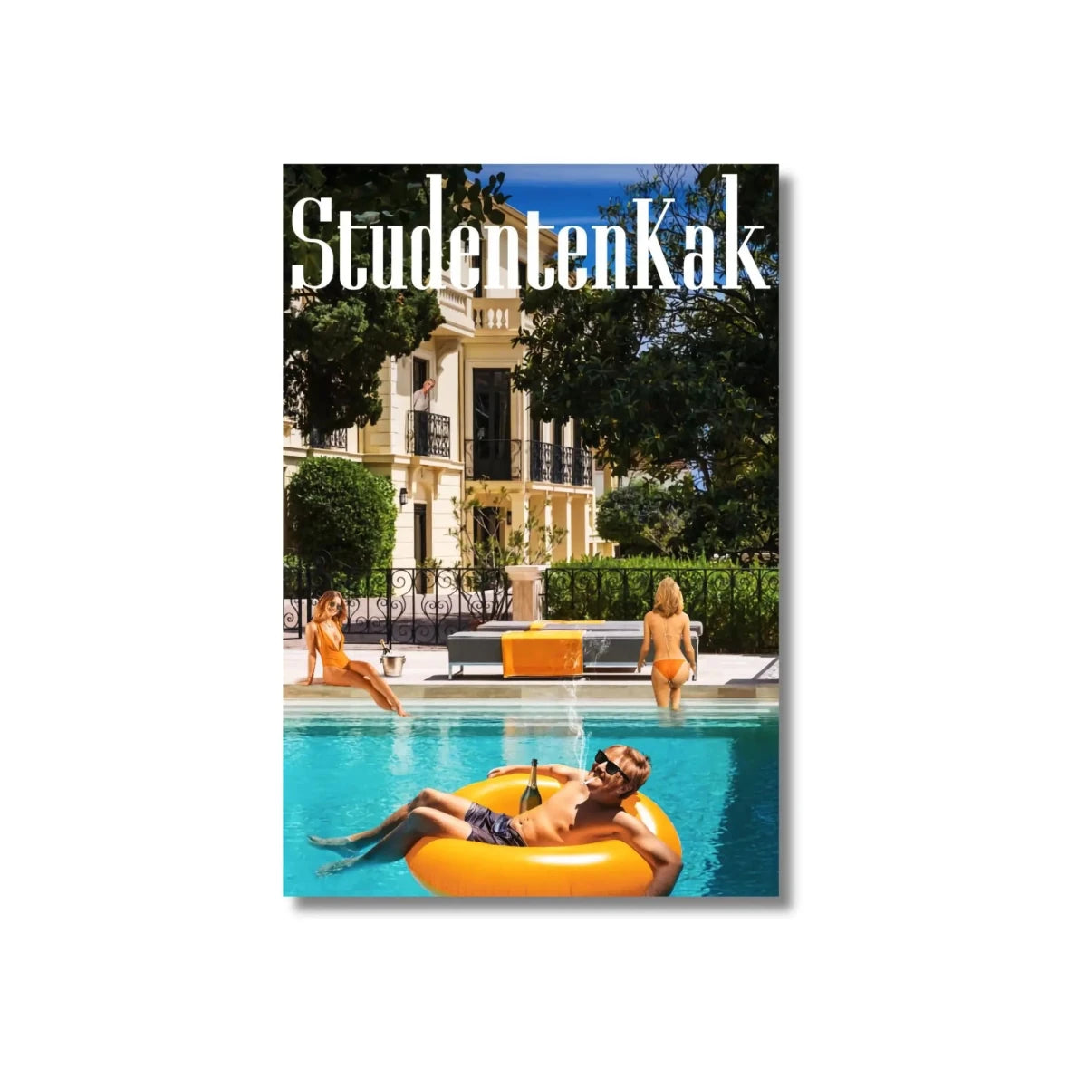 Poster Willem bij het Zwembad